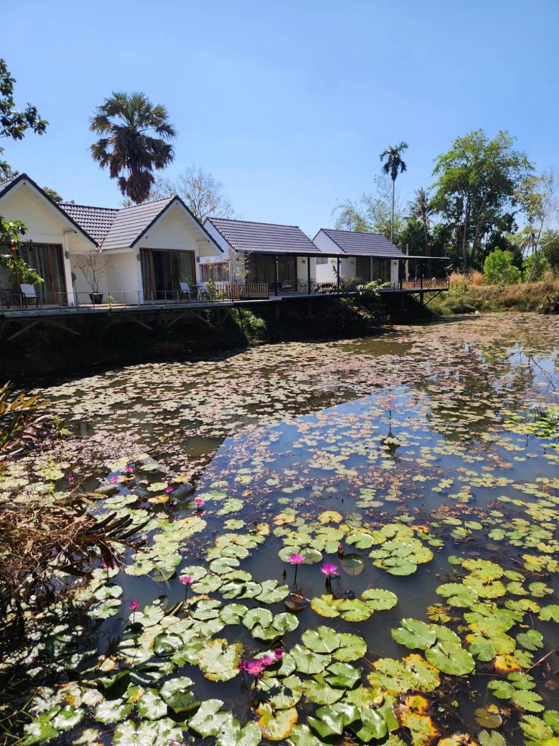 The Duck Cafe And Resort Trat Exteriér fotografie